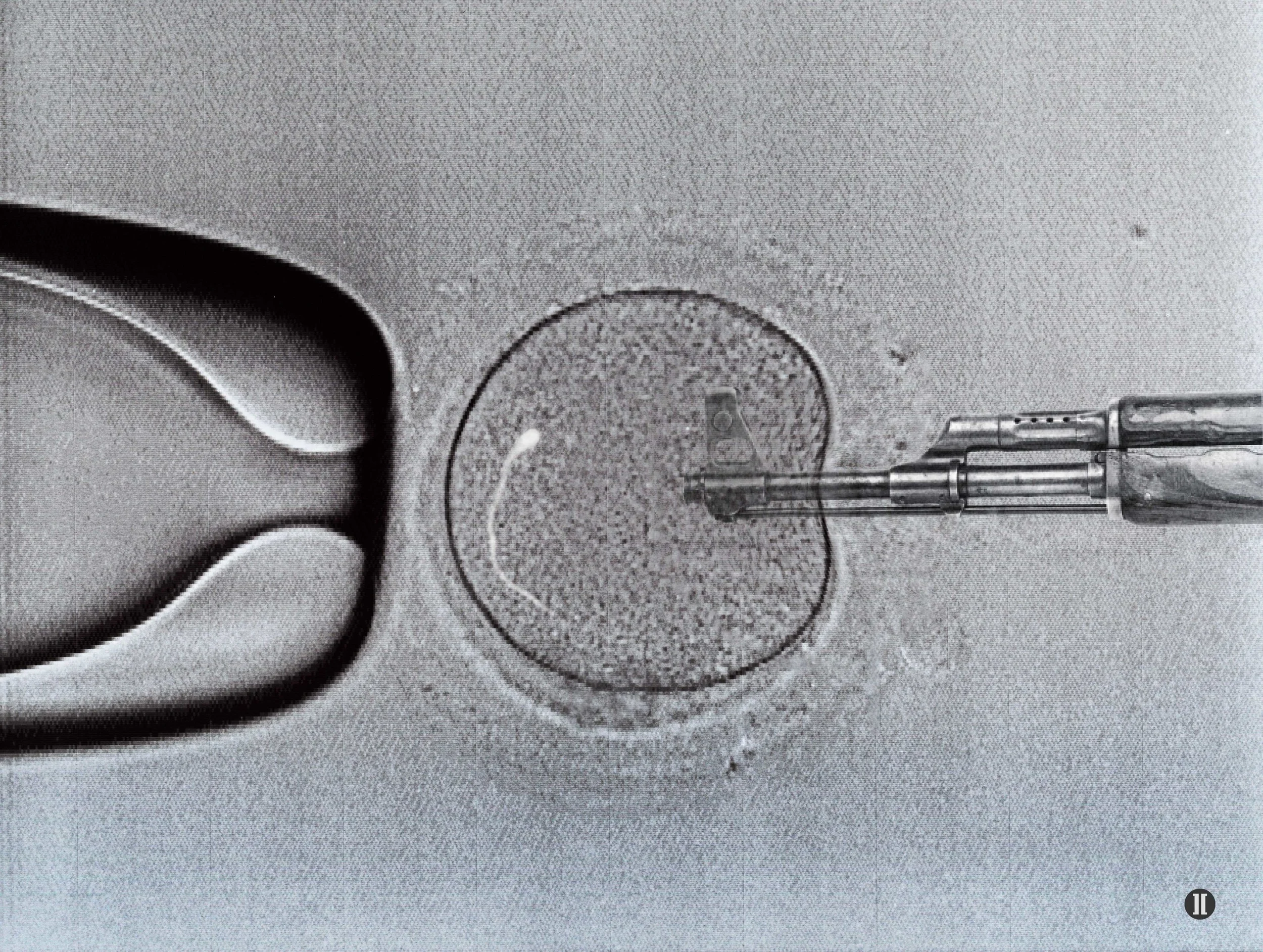 Microscopic Genocide