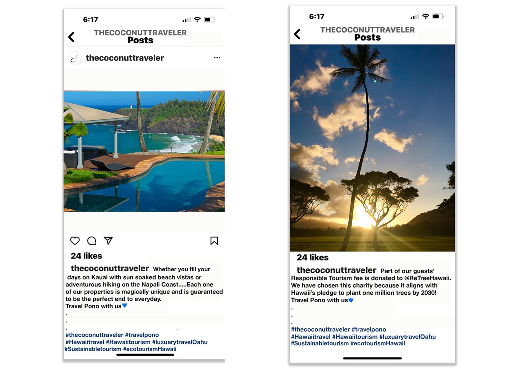 coconuttravel1.jpg