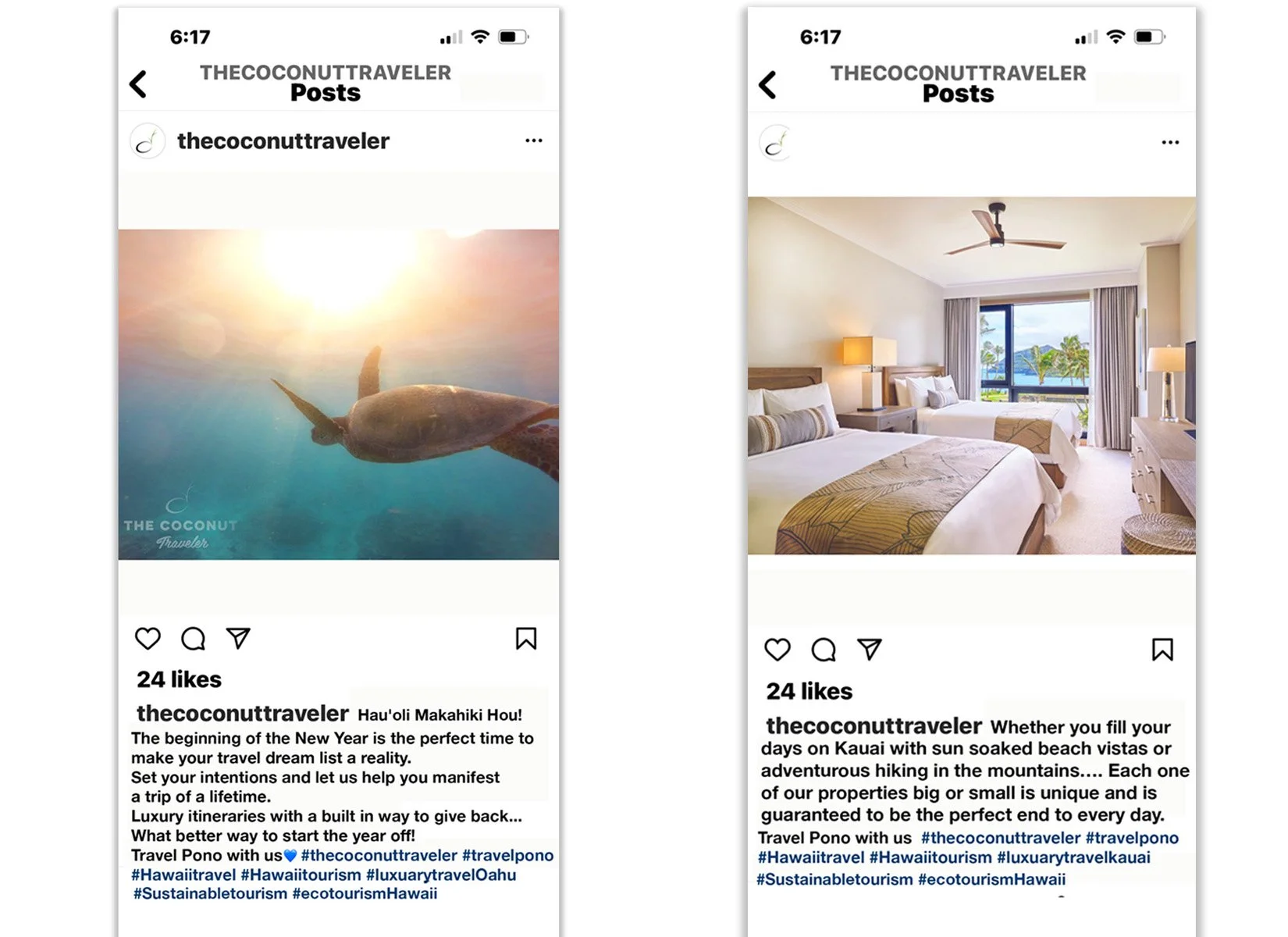 coconuttravel2.jpg