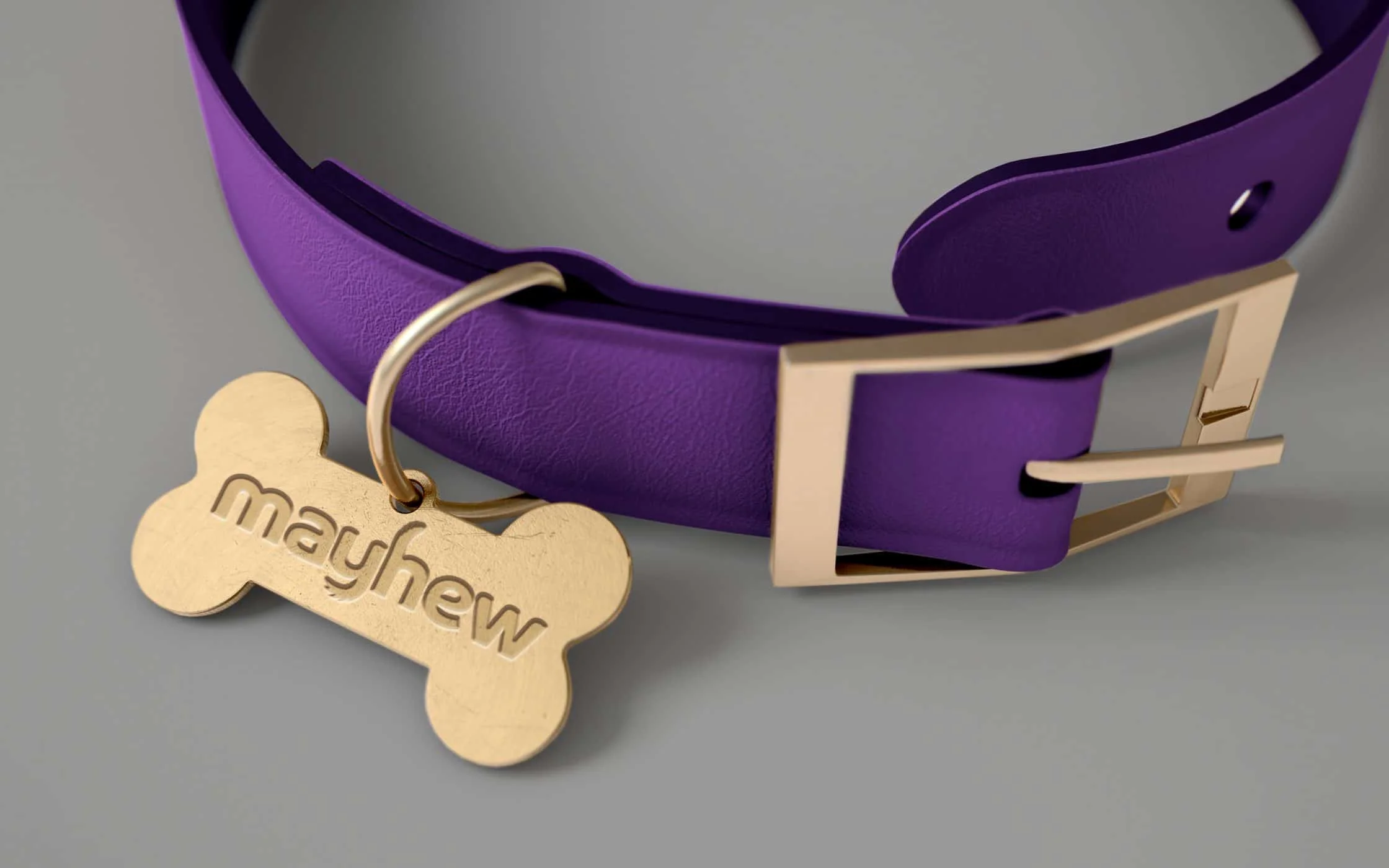 Mayhew-Rebranding-1.jpg
