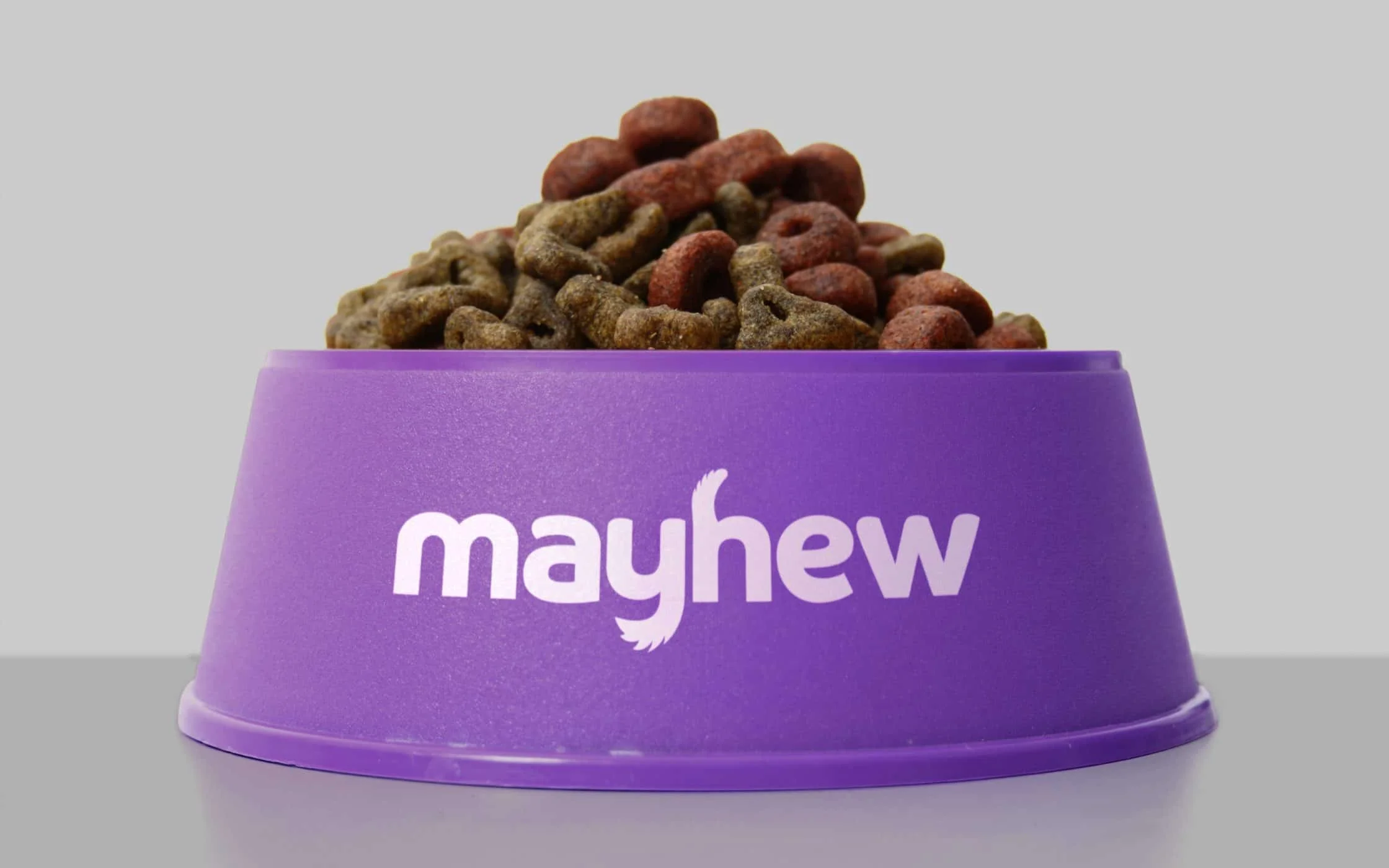 Mayhew-Rebranding-3.jpg