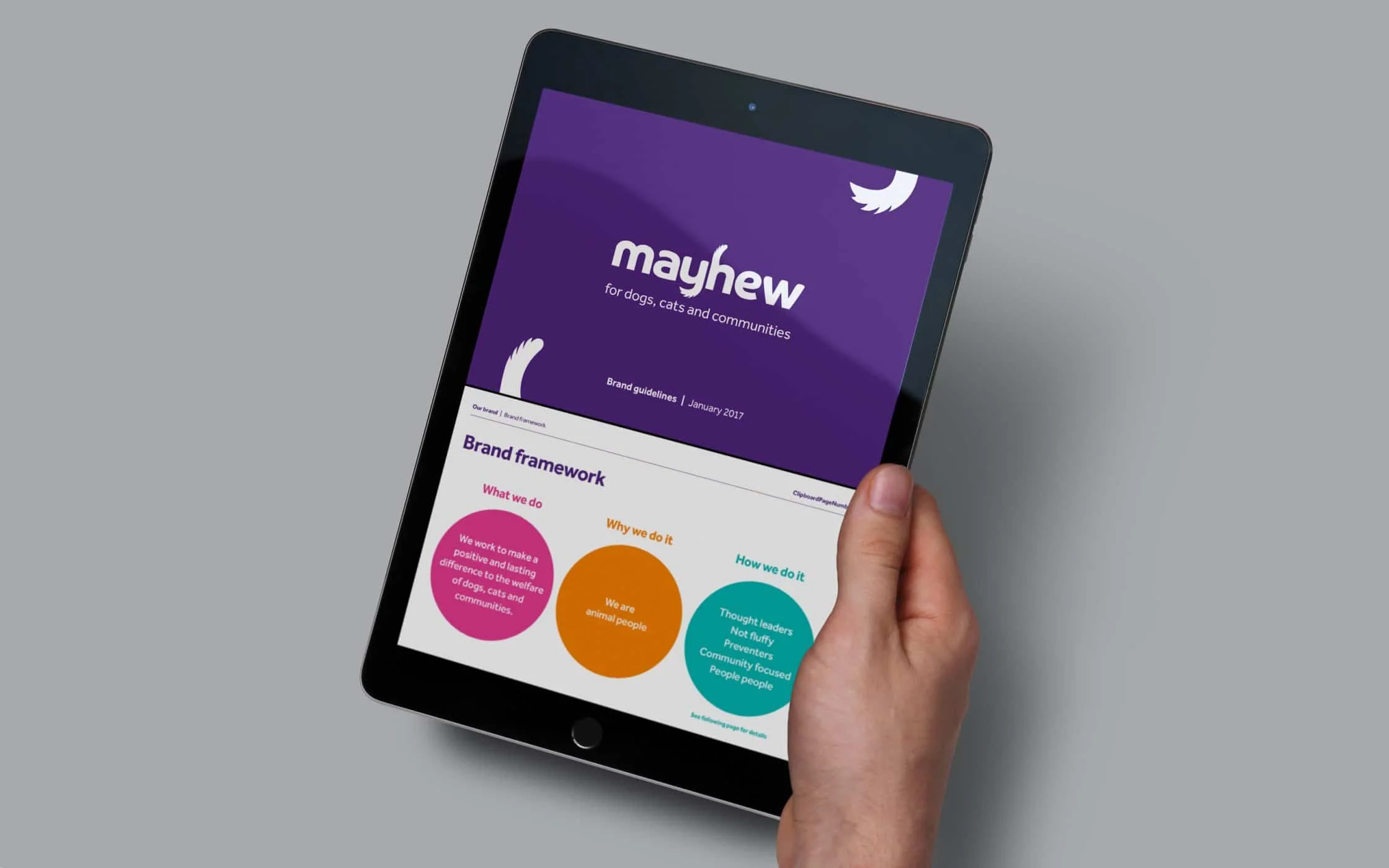 Mayhew-Rebranding-5.jpg