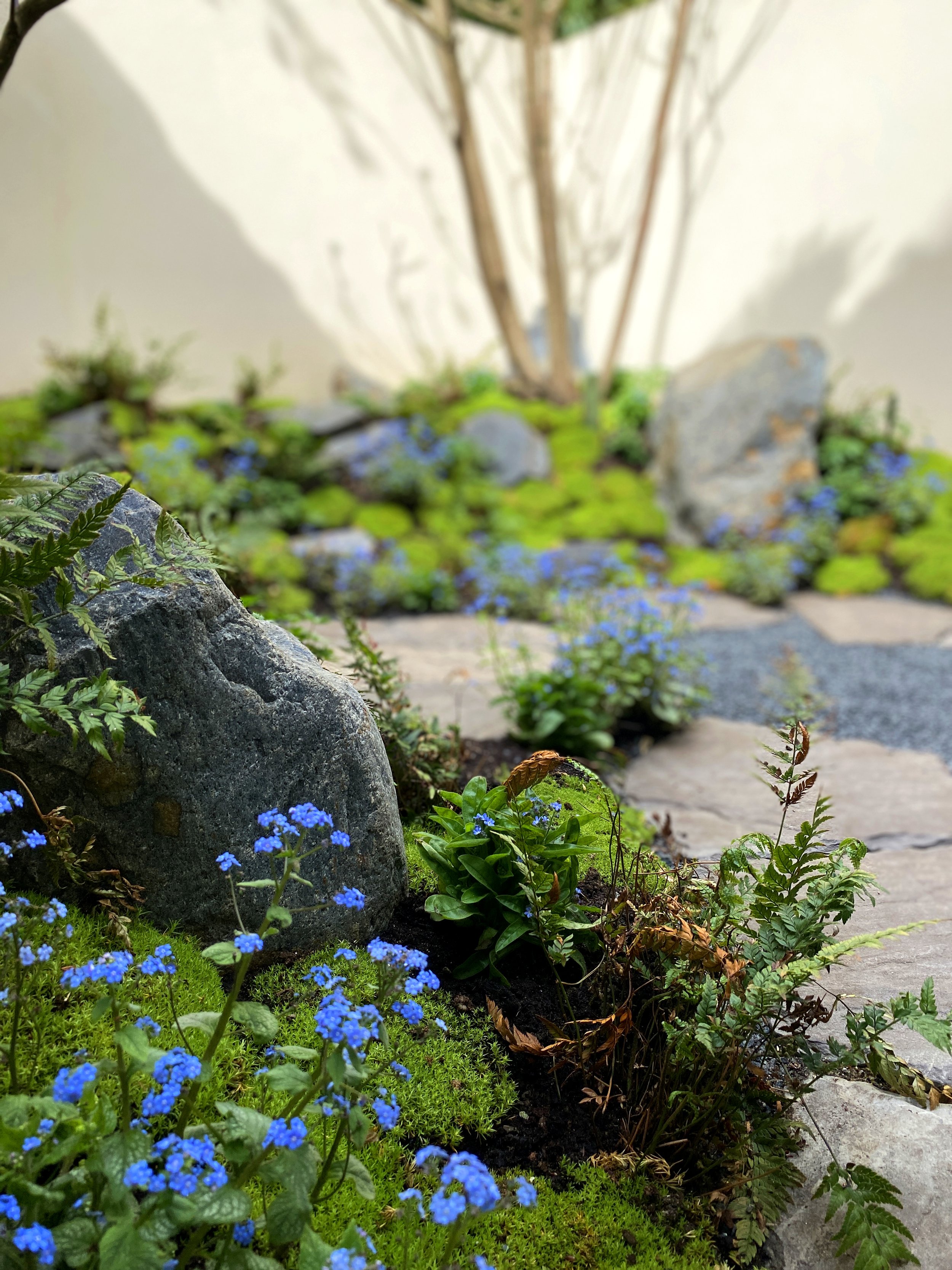 2021-04-01 11.27.24-1 copy.jpg