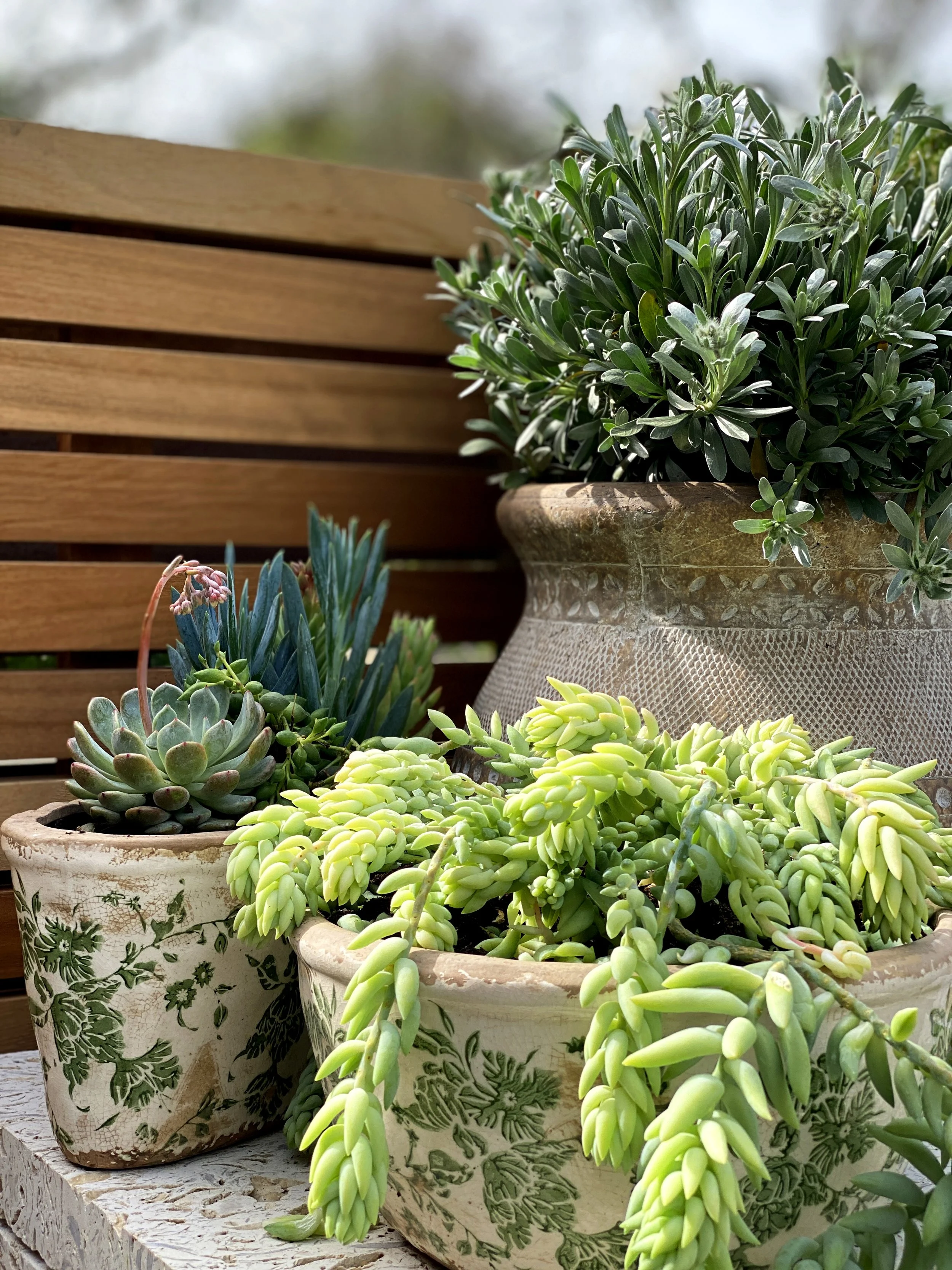 2021-04-01 11.31.55-1 copy.jpg