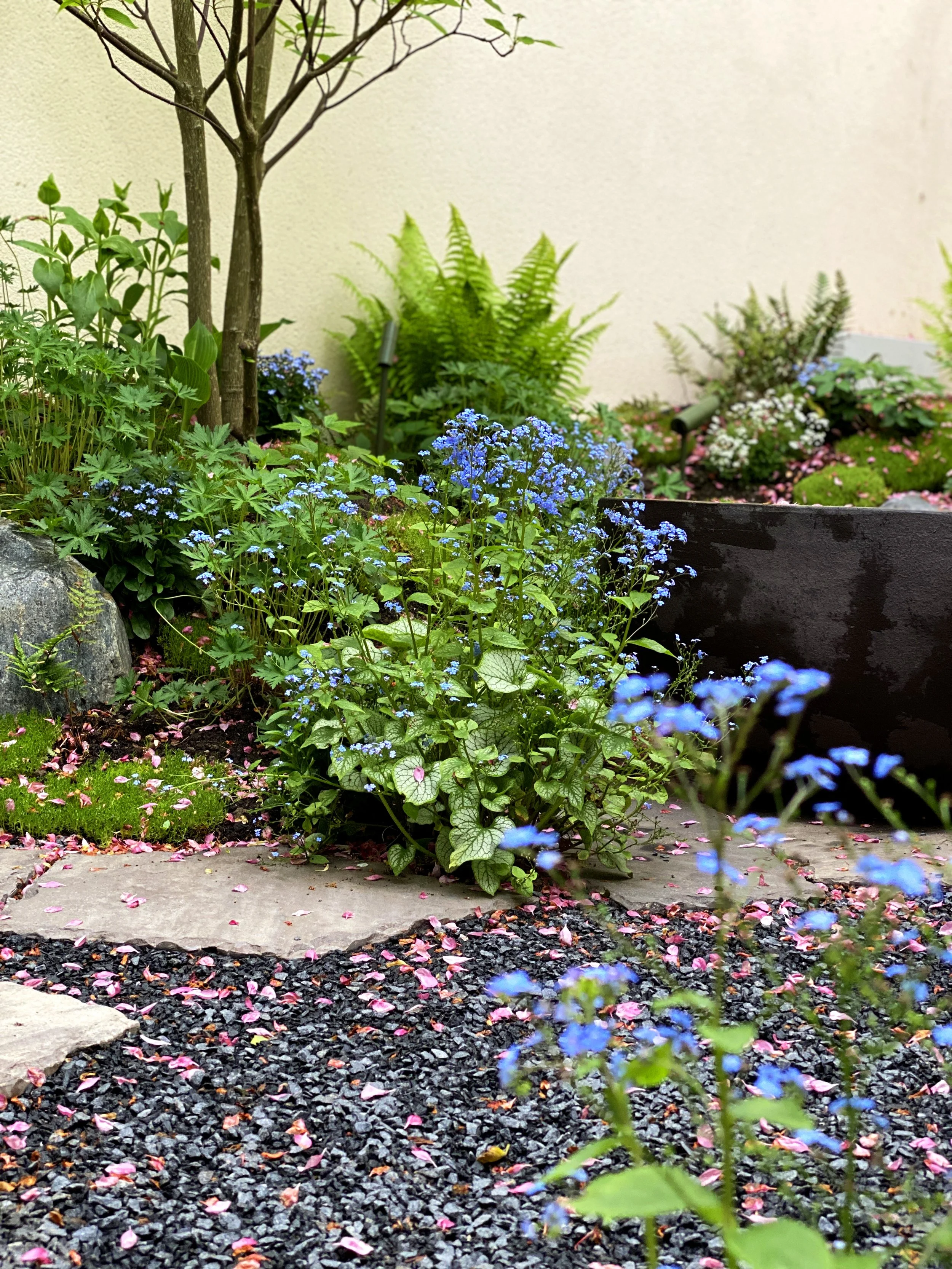 2021-05-10 14.20.24-1 copy.jpg