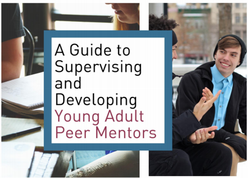 YAPM supervision guide.png