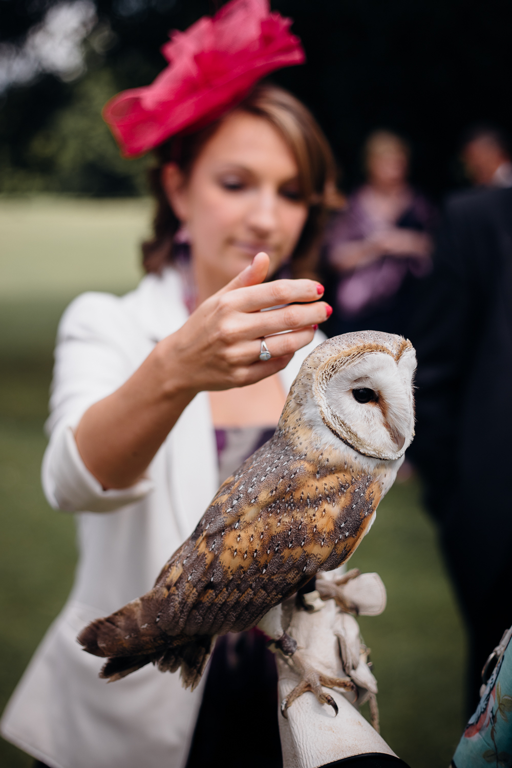 owl at at Ashridge House wedding