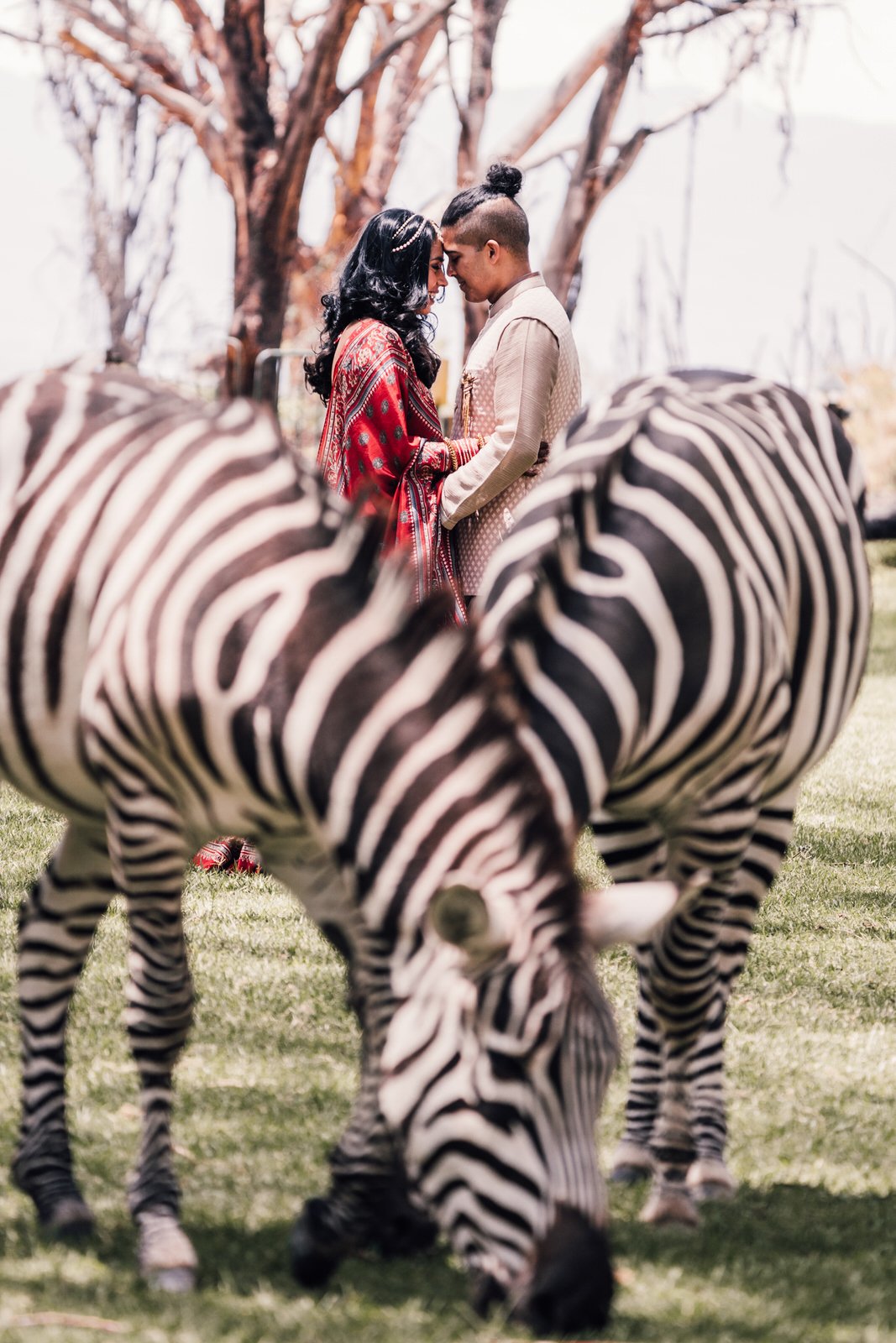 best kenya destination wedding photographer