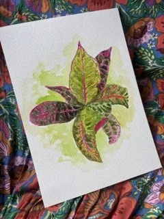 IMG_9066 Small.jpeg