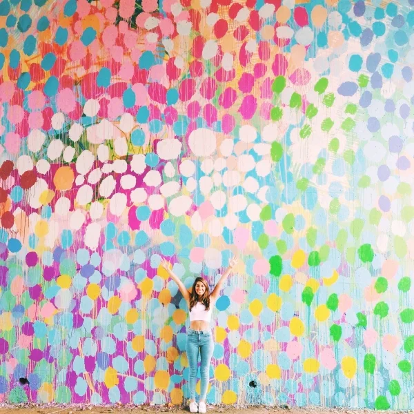 HENSE Wall