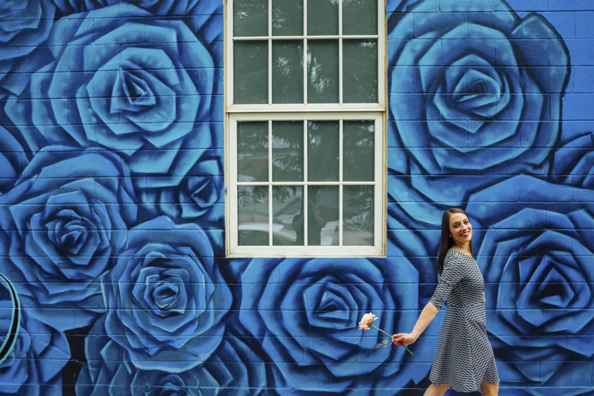 Rose Wall