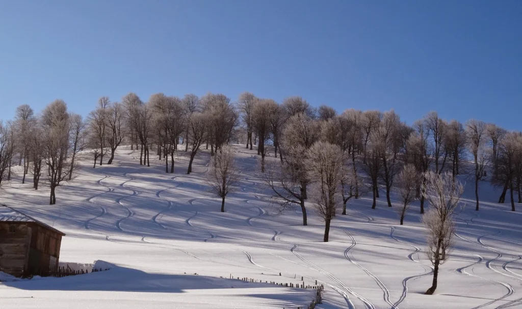 goderdzi-ski-resort 032.jpg
