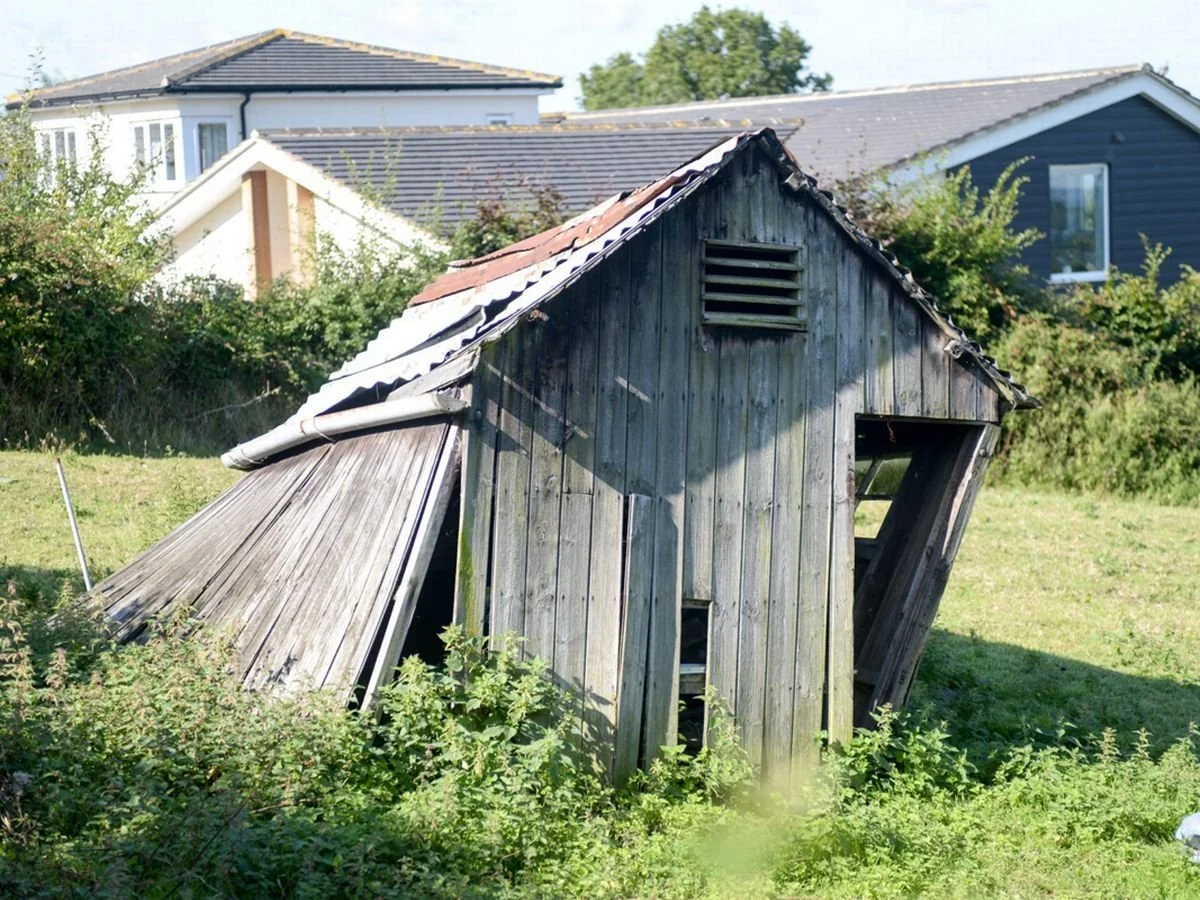 shed.jpeg