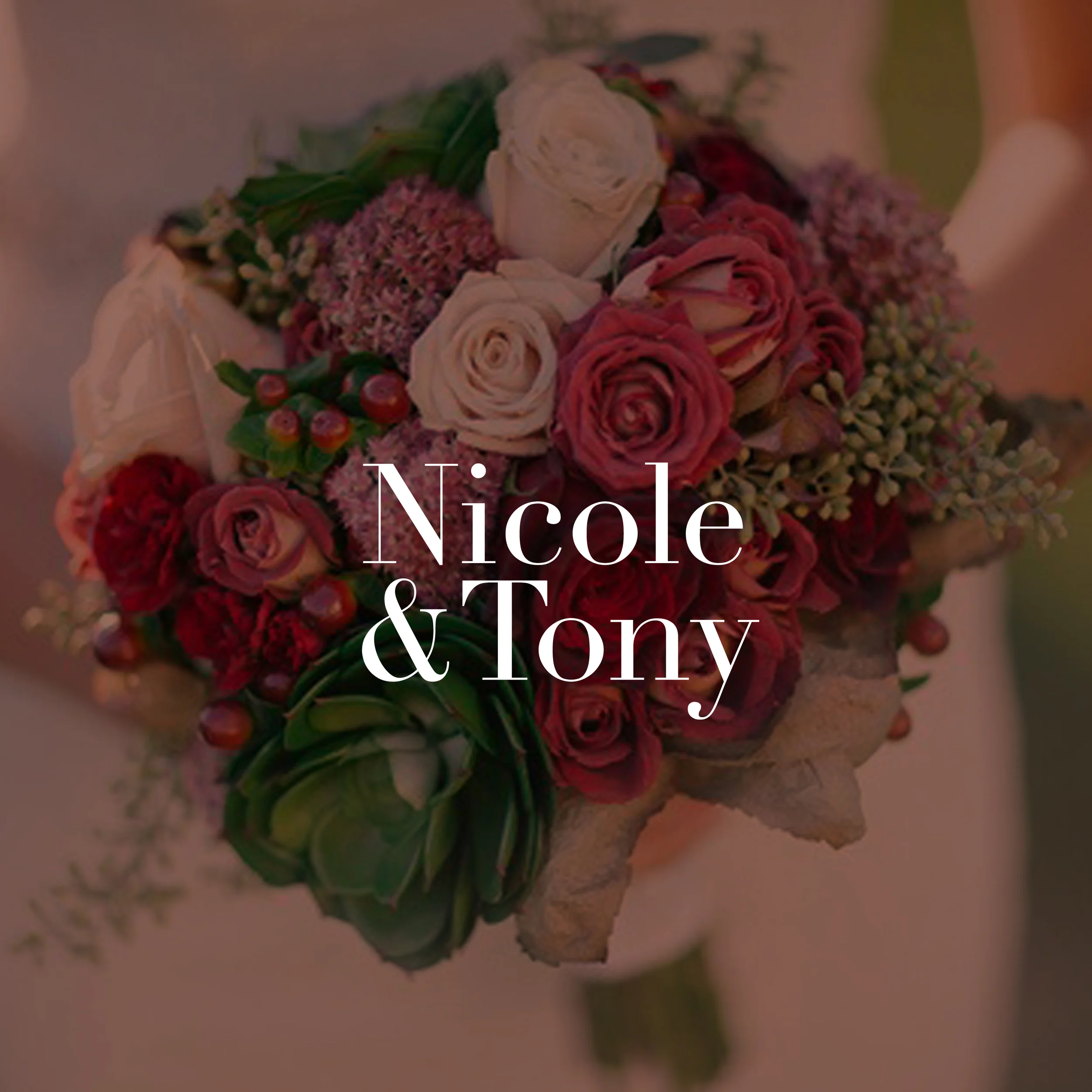 nicoleandtony1.jpg