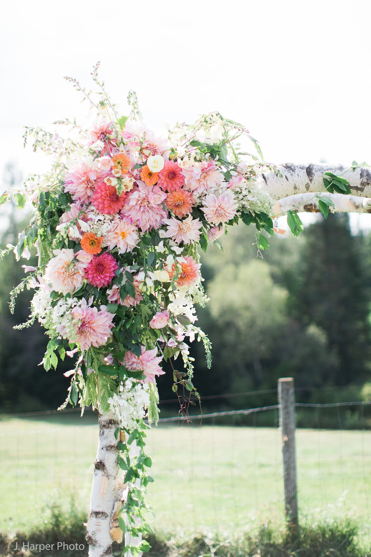 jharperphoto_film2017_-257.jpg