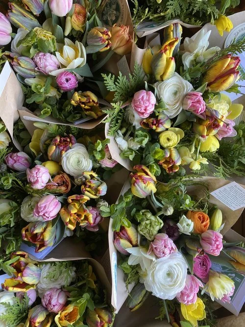 springcsa.jpg