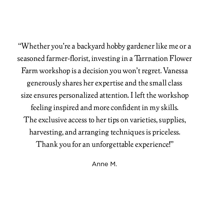 Workshop testimonial_Anne.jpg