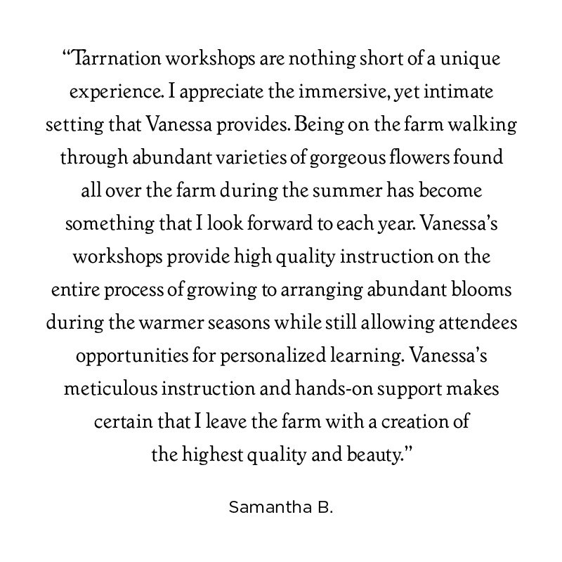 Workshop testimonial_Samantha.jpg