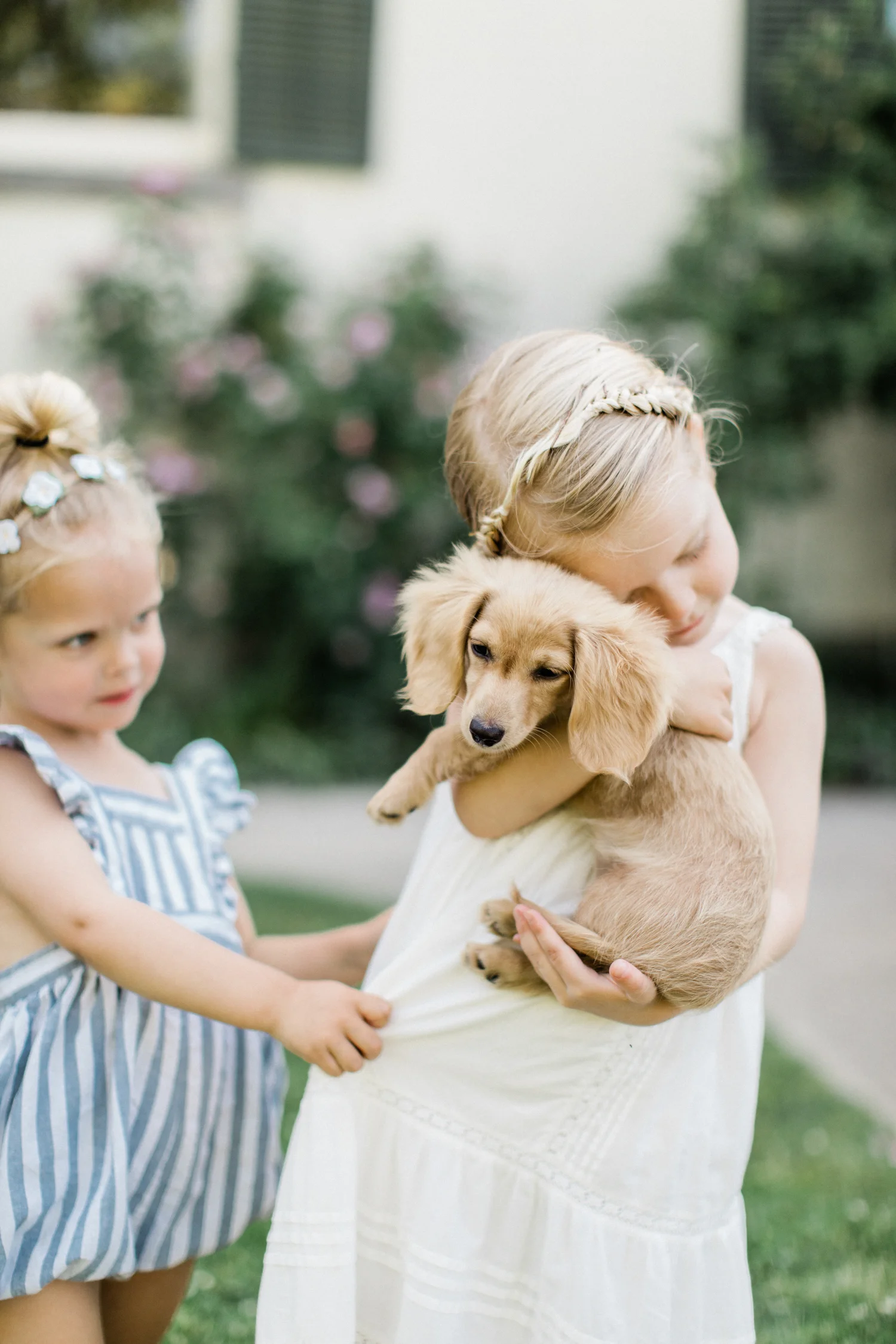 Olive, Juni &amp; Clementine