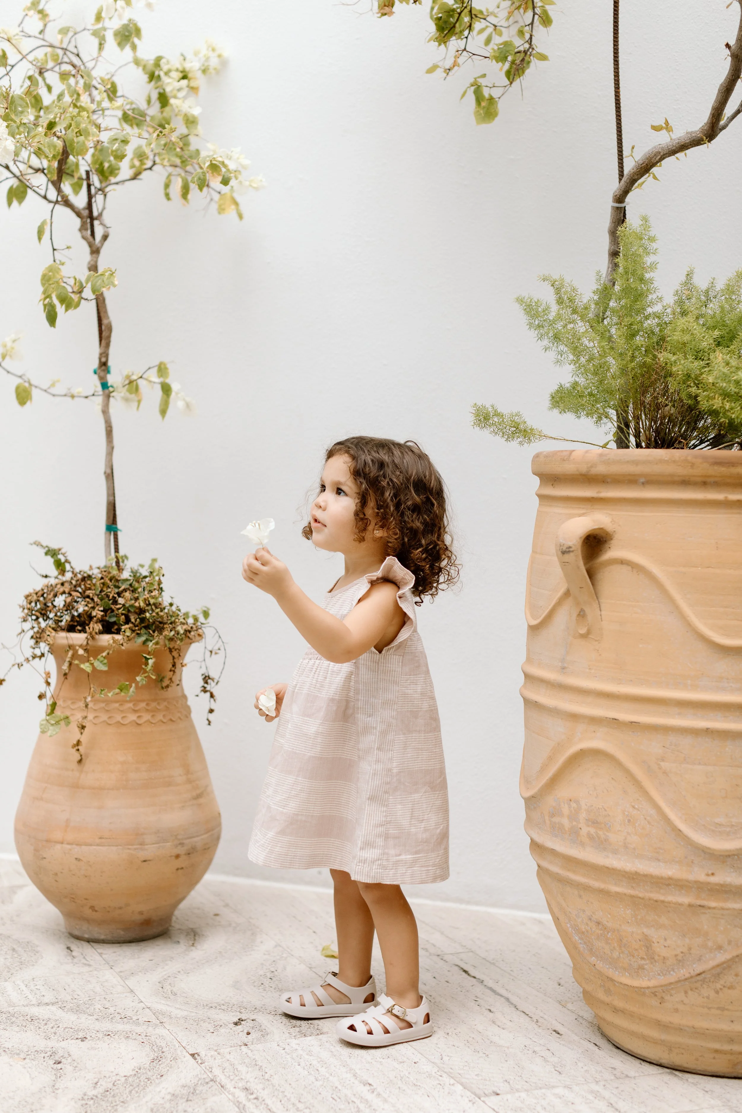 Pehr SS2024 (Miami)