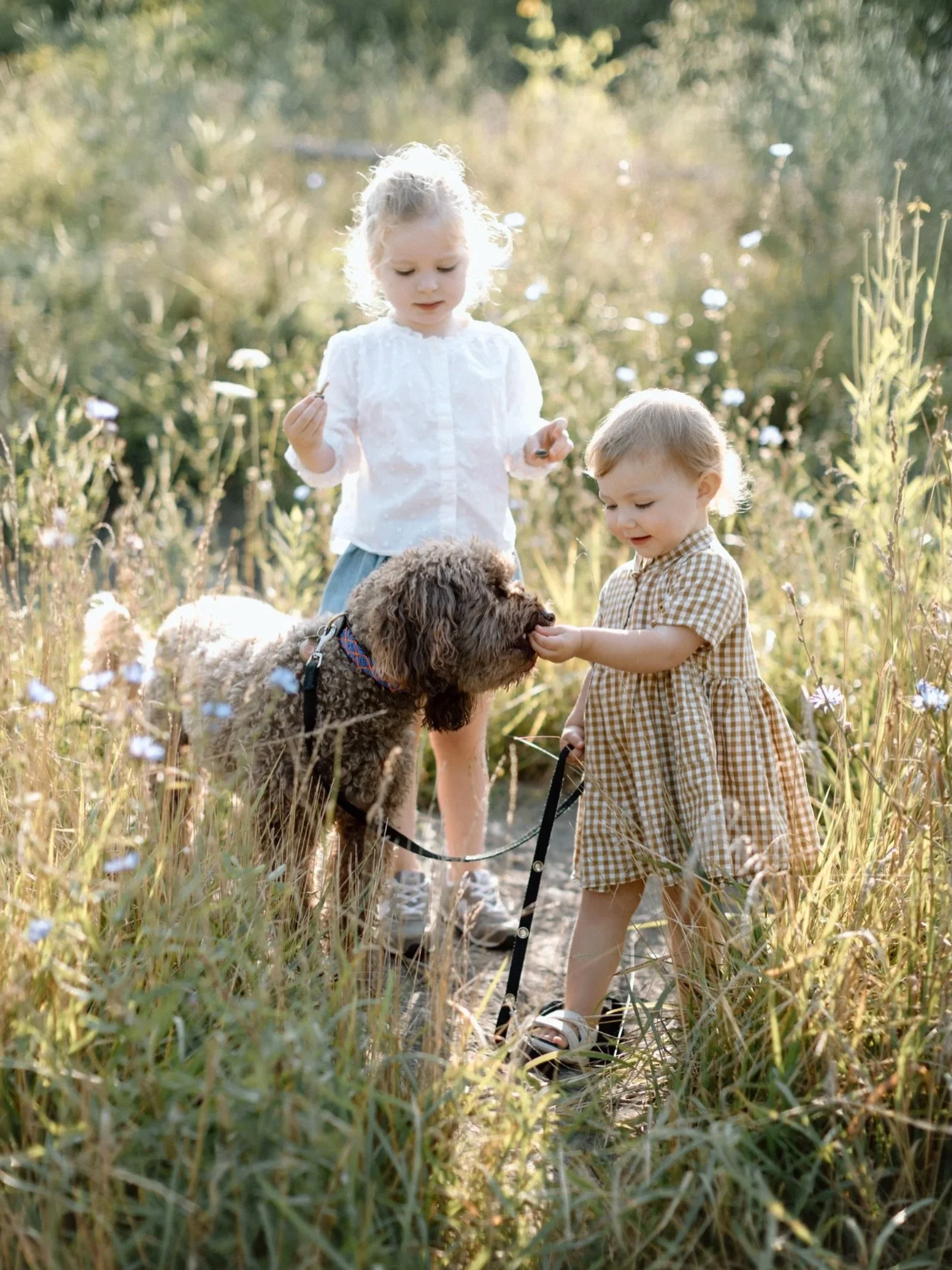 This dreamy location + your family + me capturing it all ❤️