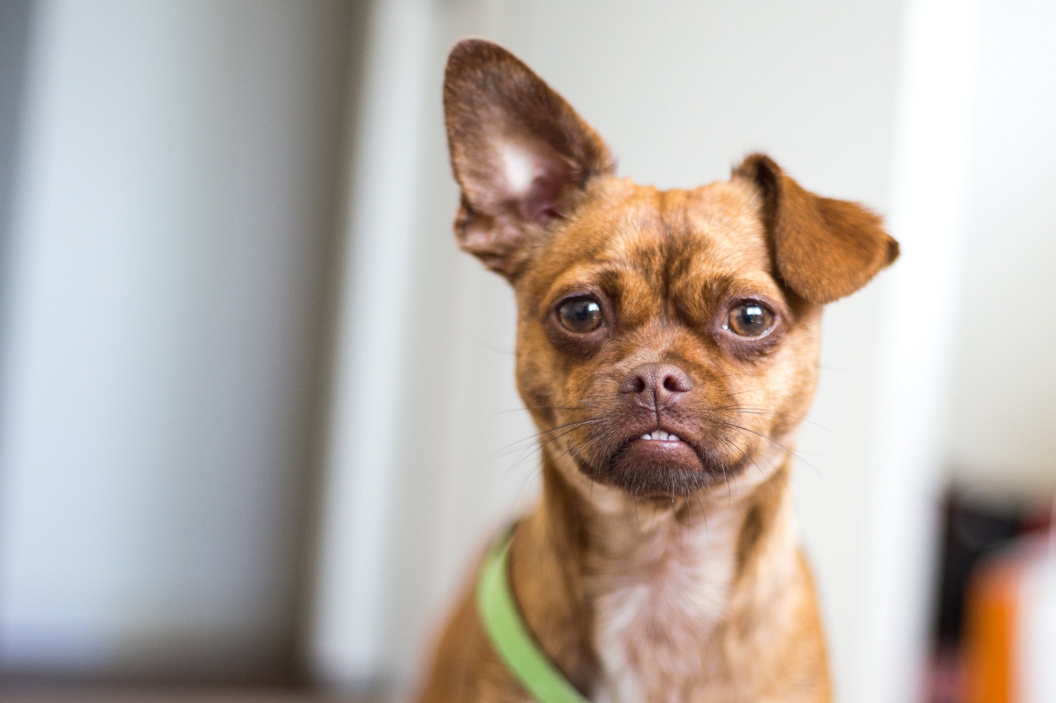 AdobeStock_144130456.jpeg