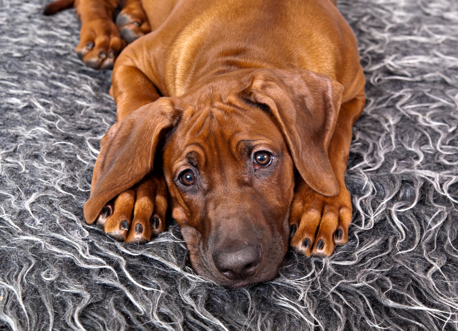 AdobeStock_141400239.jpeg