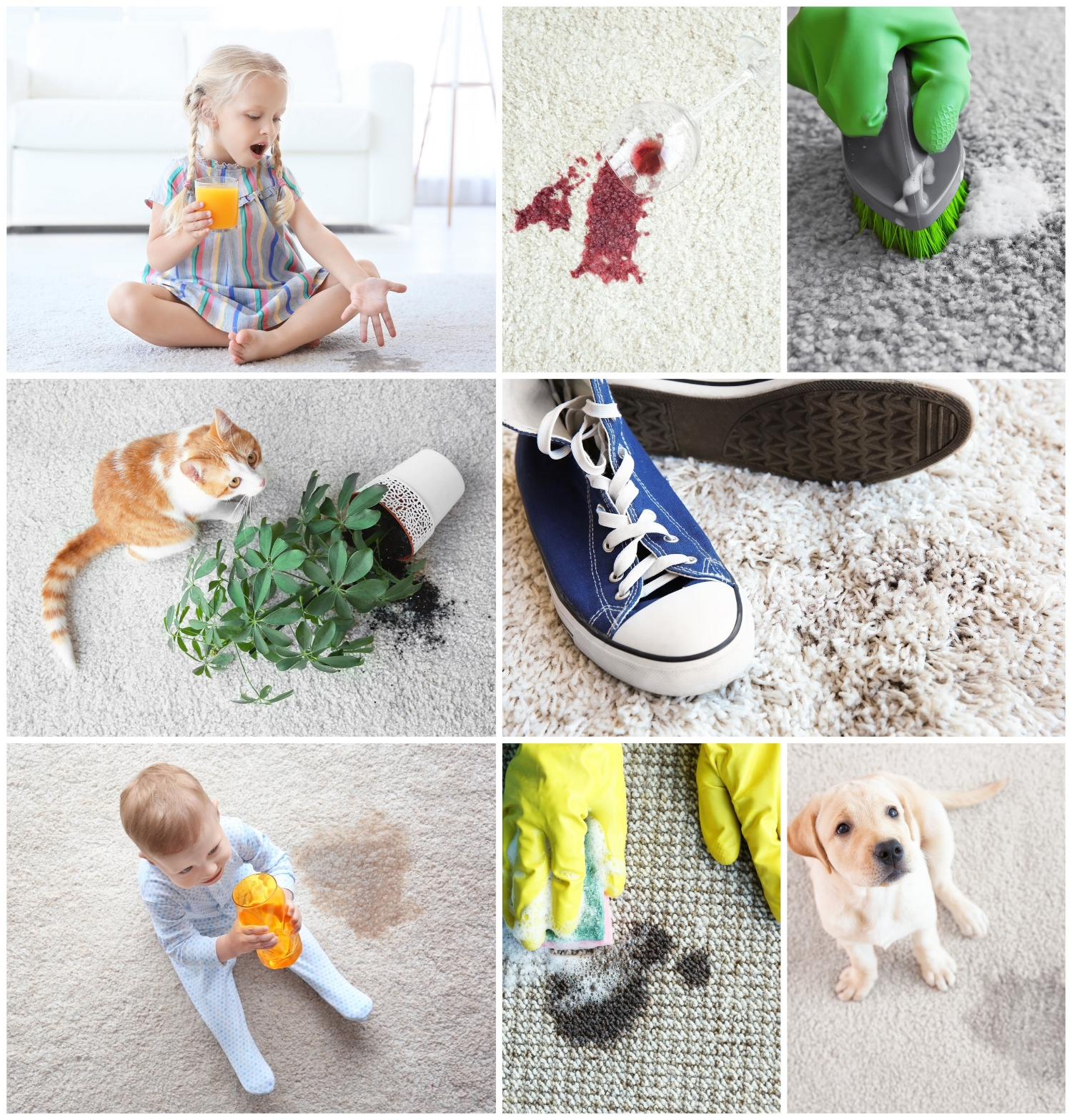 AdobeStock_164115259.jpeg