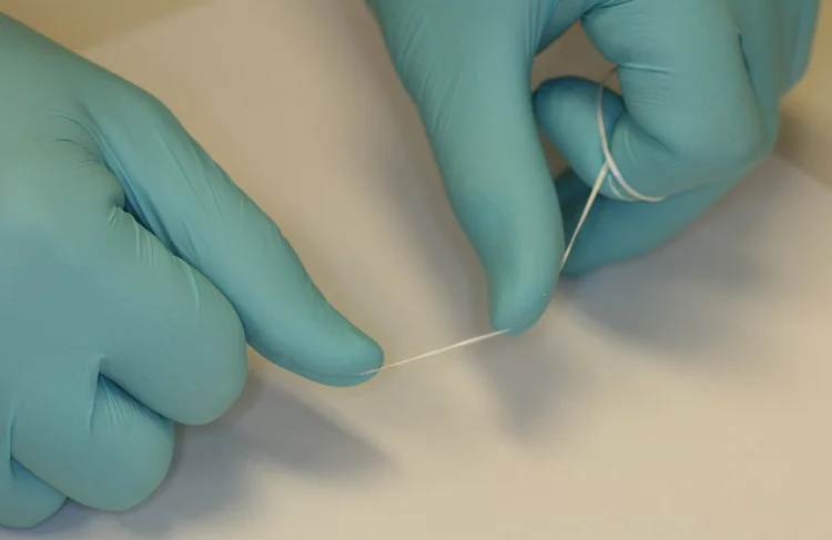 2. Then, using two other fingers or thumbs guide the floss close to the teeth. The closer you get, the easier it will be to floss gently.