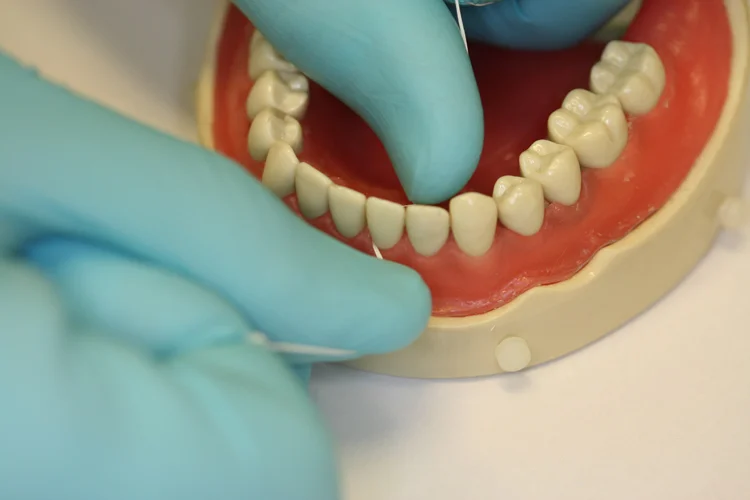 4. Floss up and down the sides of each tooth and gently into the gums. Shape to floss along the contour of the tooth so it can clean as much plaque as possible.