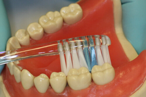 Oral Hygiene Instructions — Blackhart, Albertoni & Corso Dentistry