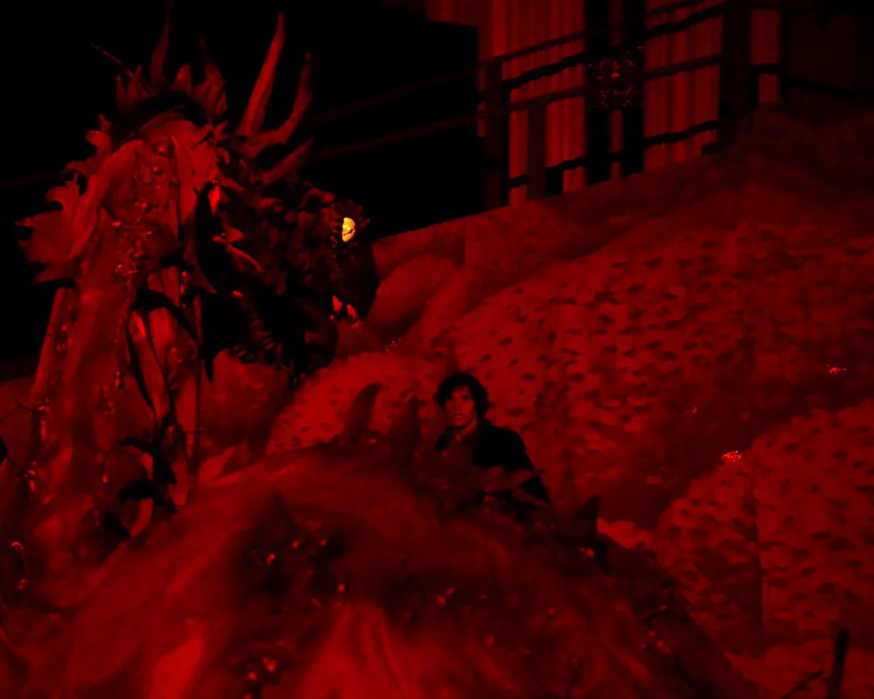 smaug bilbo.jpg