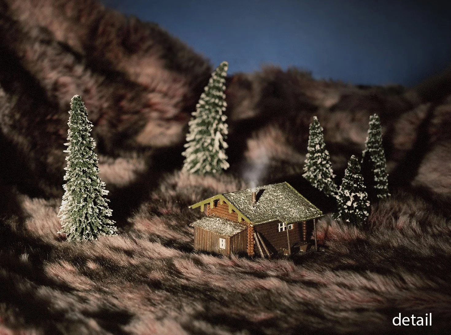 Areca Roe - Shack detail.jpg