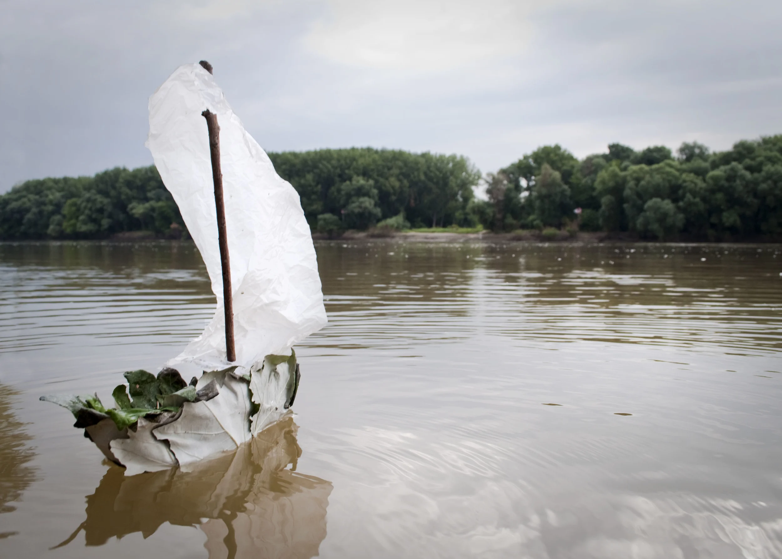Tisza1_DSC0605 1.jpg