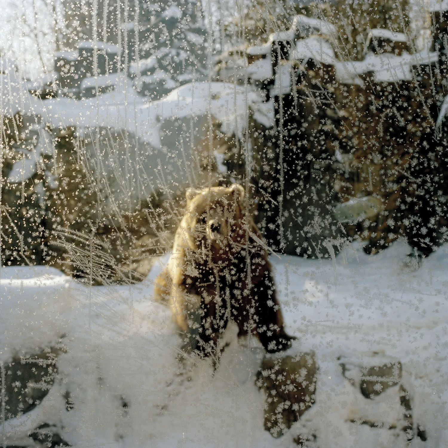 Lake Superior Zoo, Duluth, MN #1