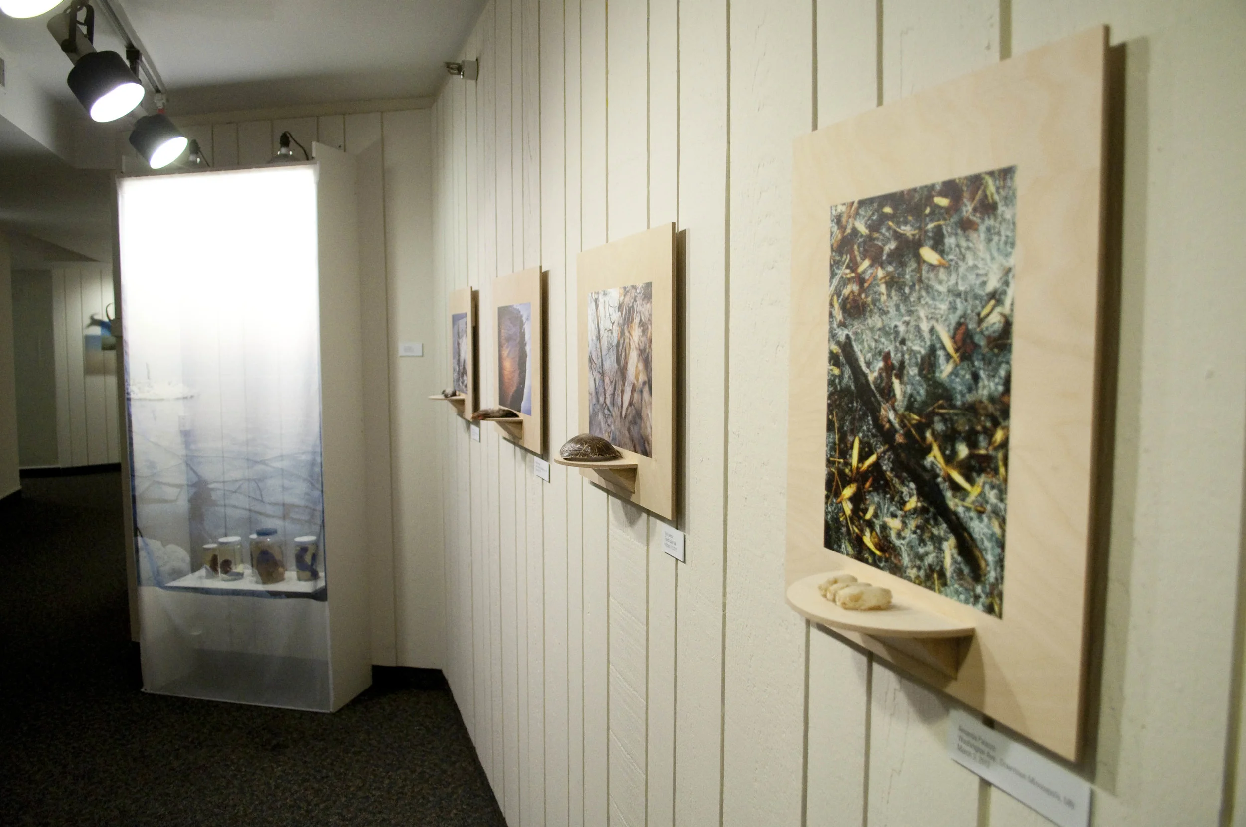 Freeze Frame_04112012_26.jpg
