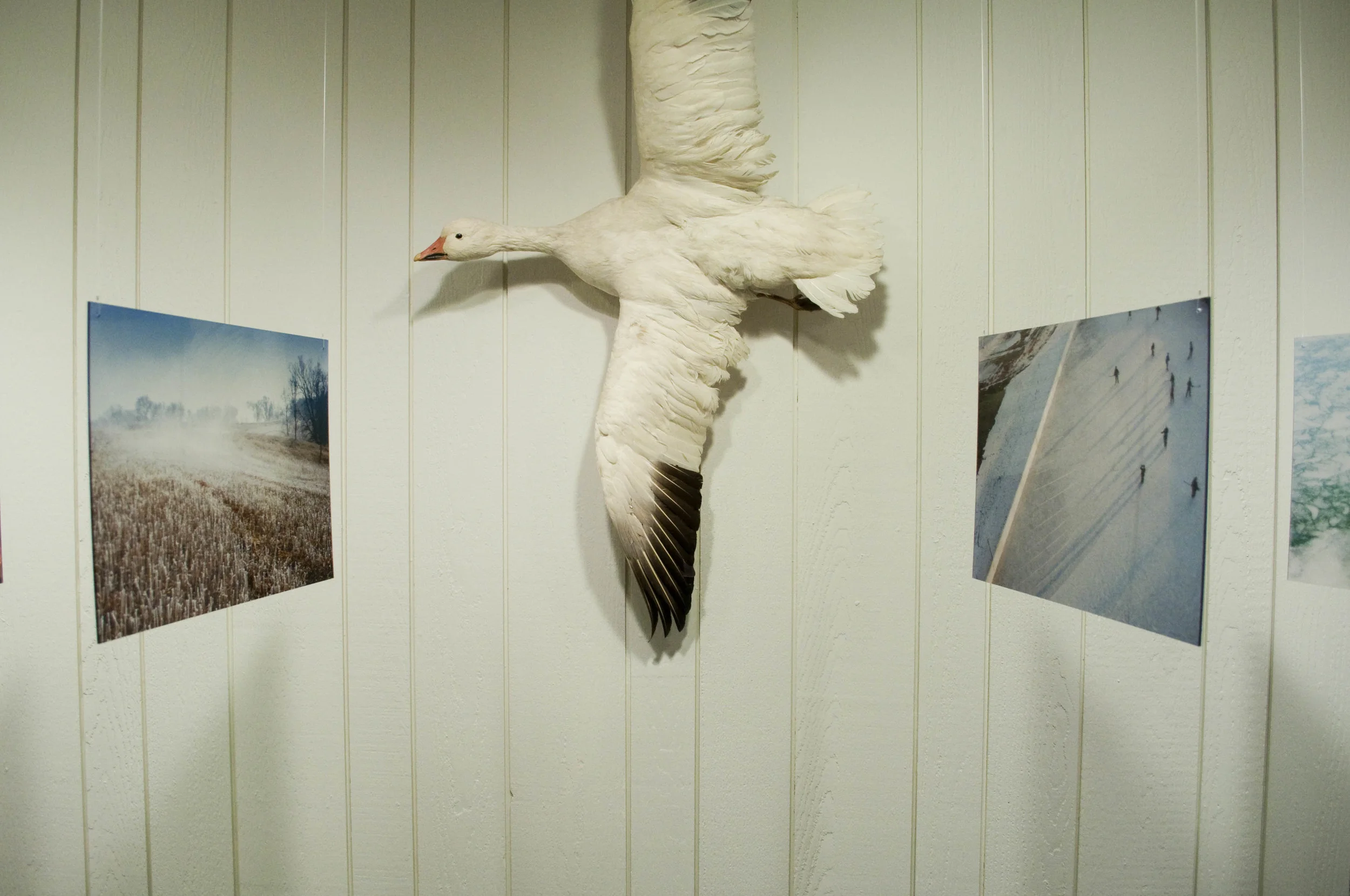 Freeze Frame_04112012_06.jpg