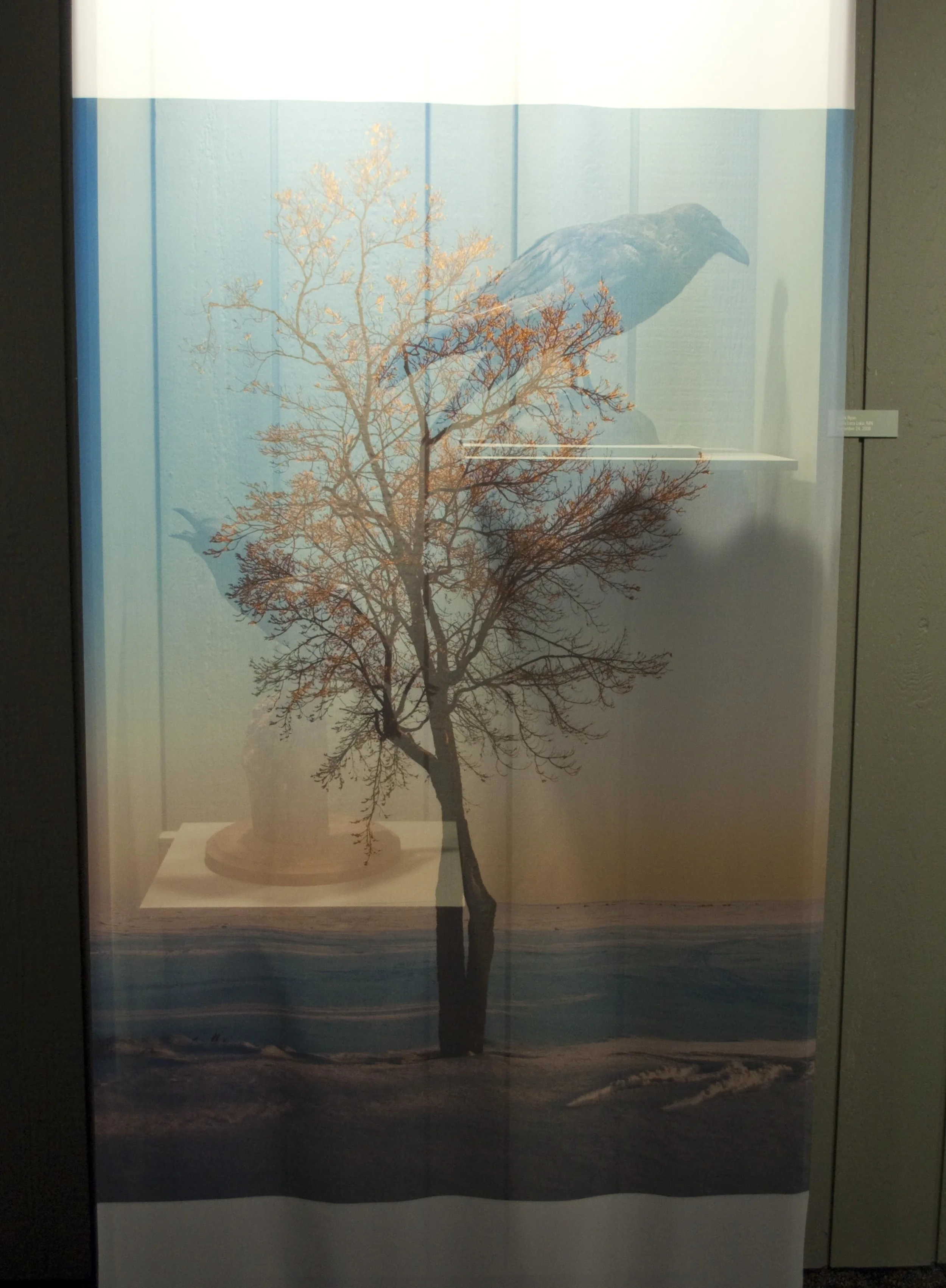 Freeze Frame_04112012_13.jpg