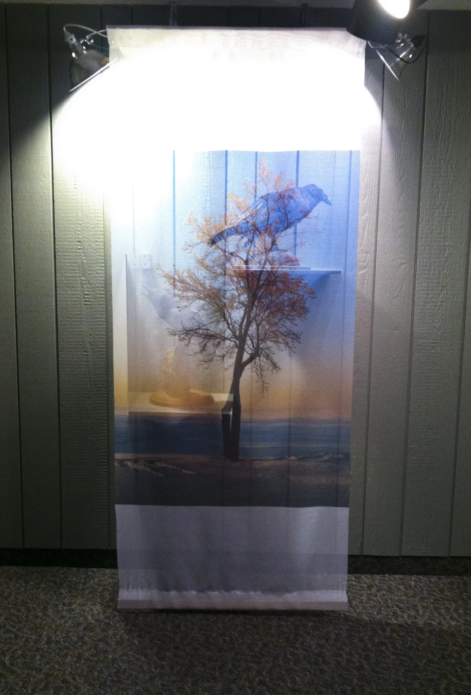 Freeze Frame_20120121_0003sm.jpg