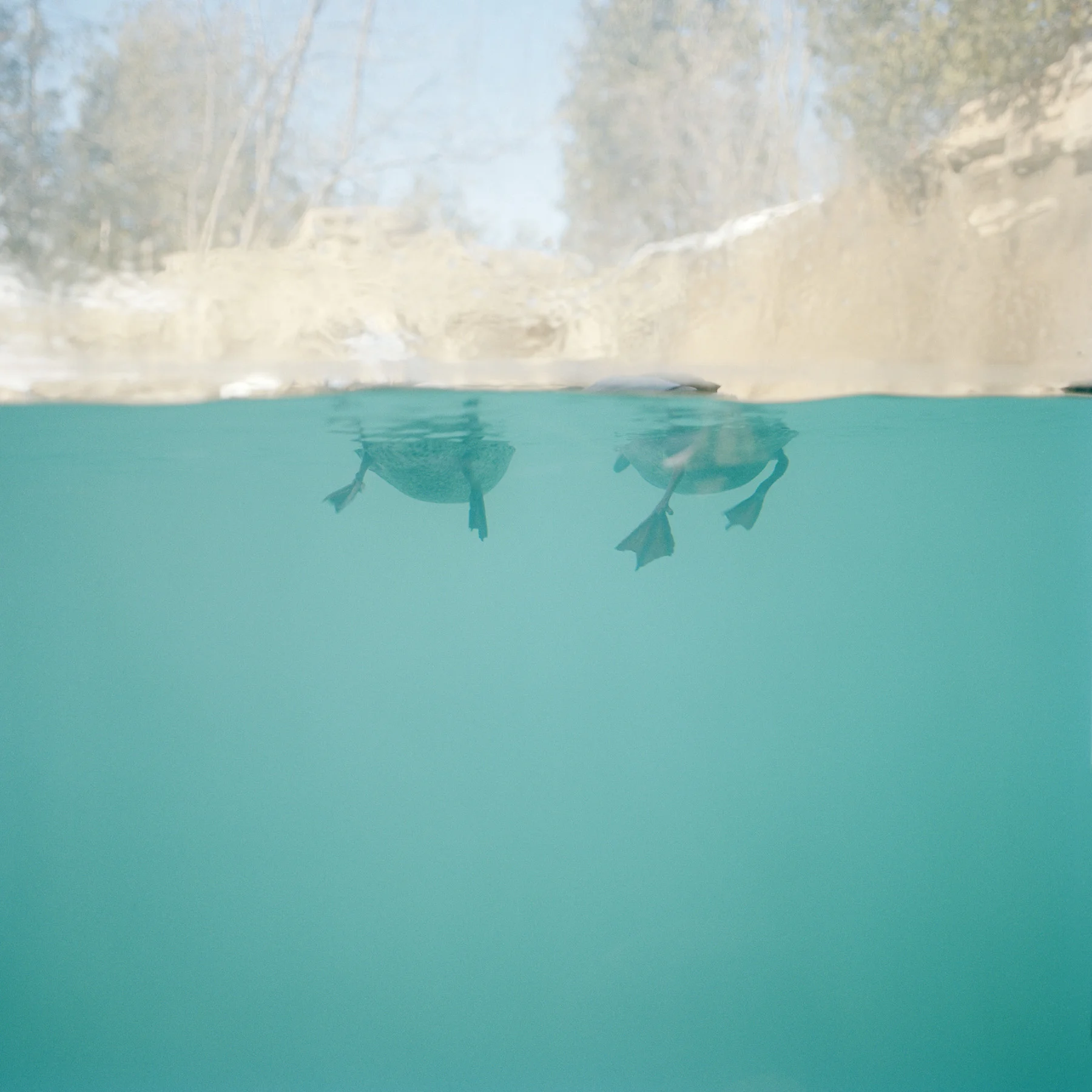 Minnesota Zoo, Apple Valley #2