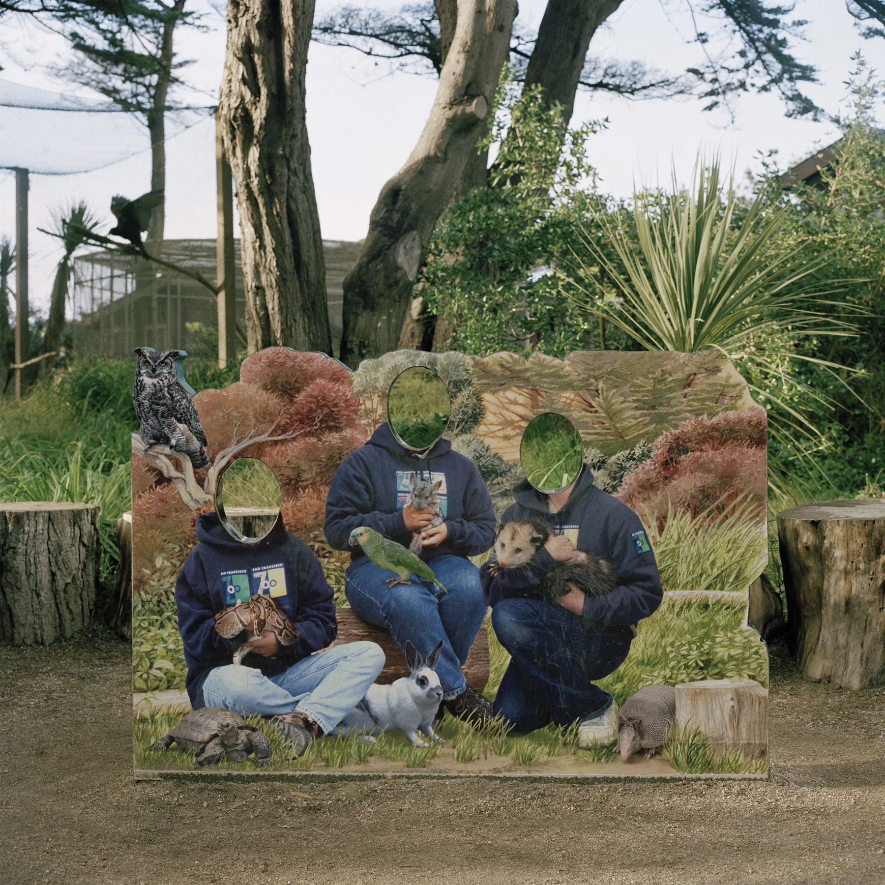 San Francisco Zoo, California #4