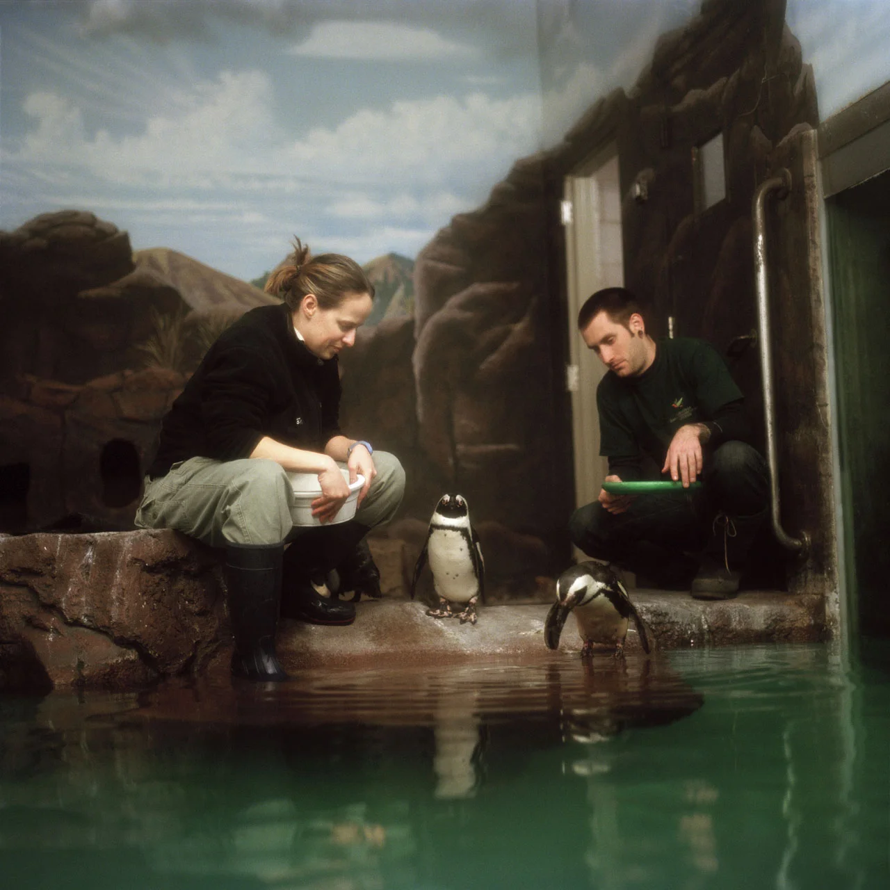 Como Zoo, St. Paul, Minnesota #2