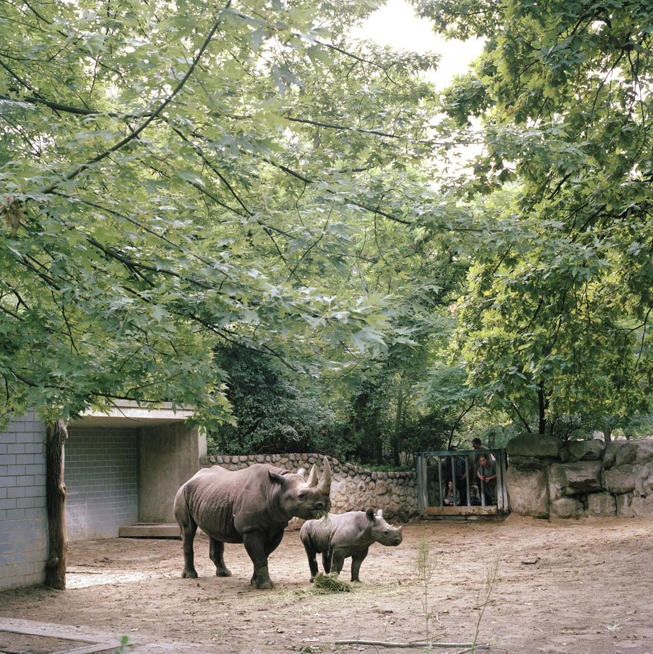 Berlin Zoo, Germany