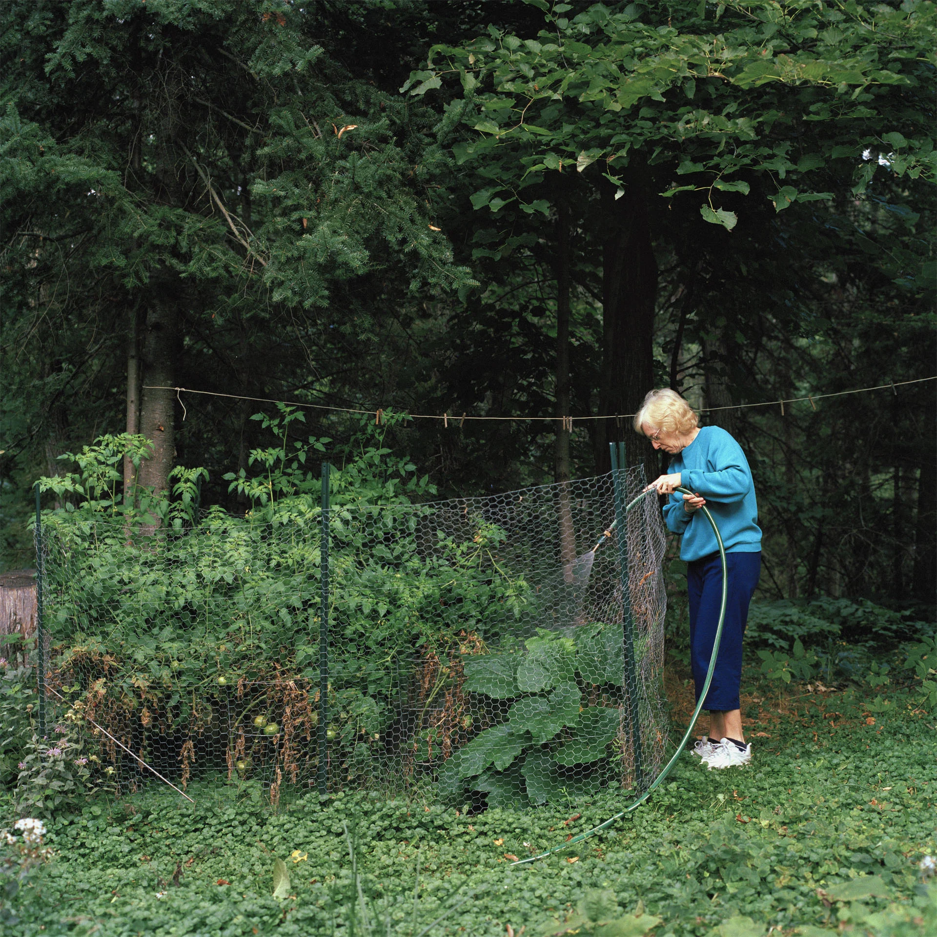 Familair_watering_ed1.jpg