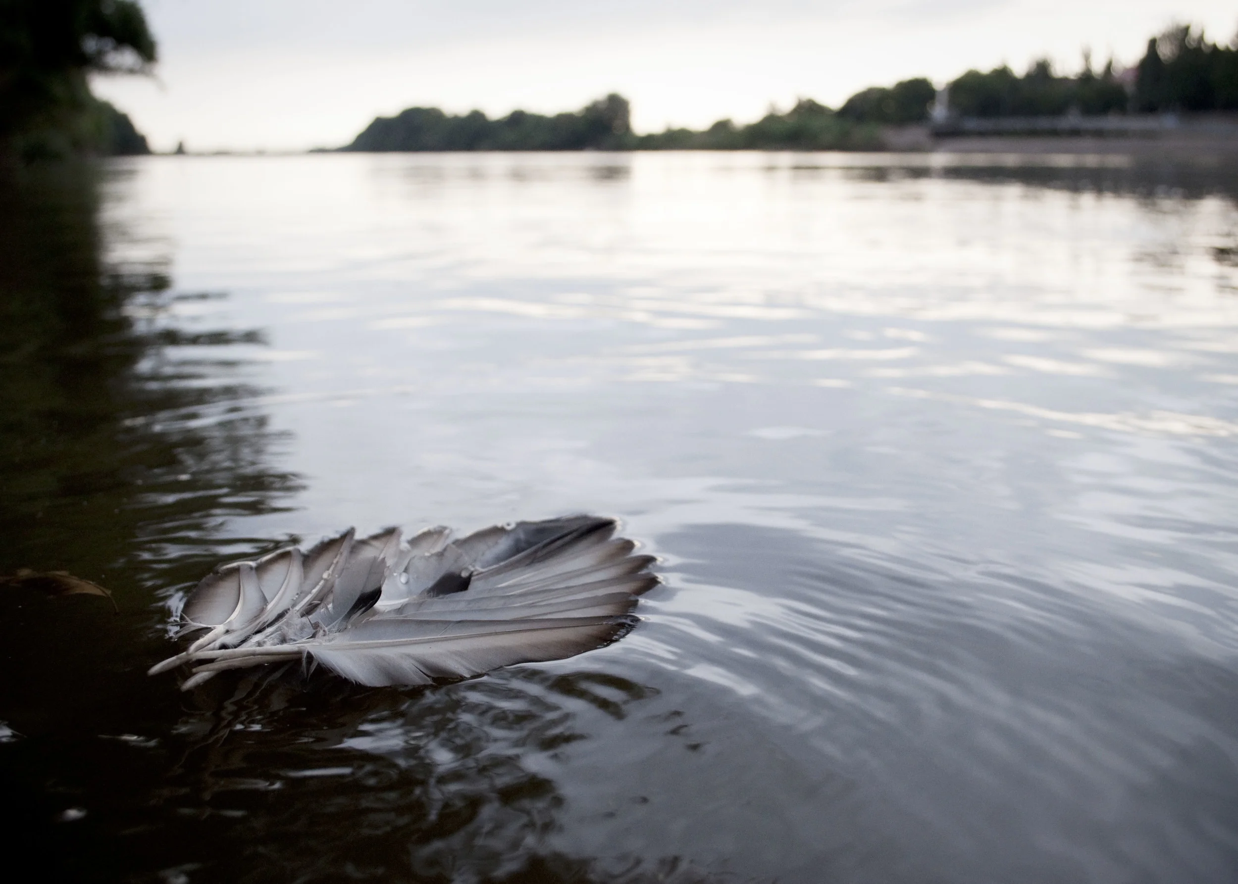 Tisza2_DSC0223.jpg