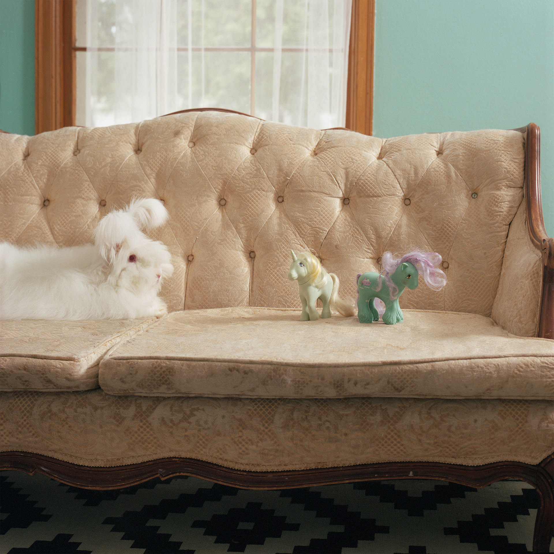 Finnian (Angora Rabbit)