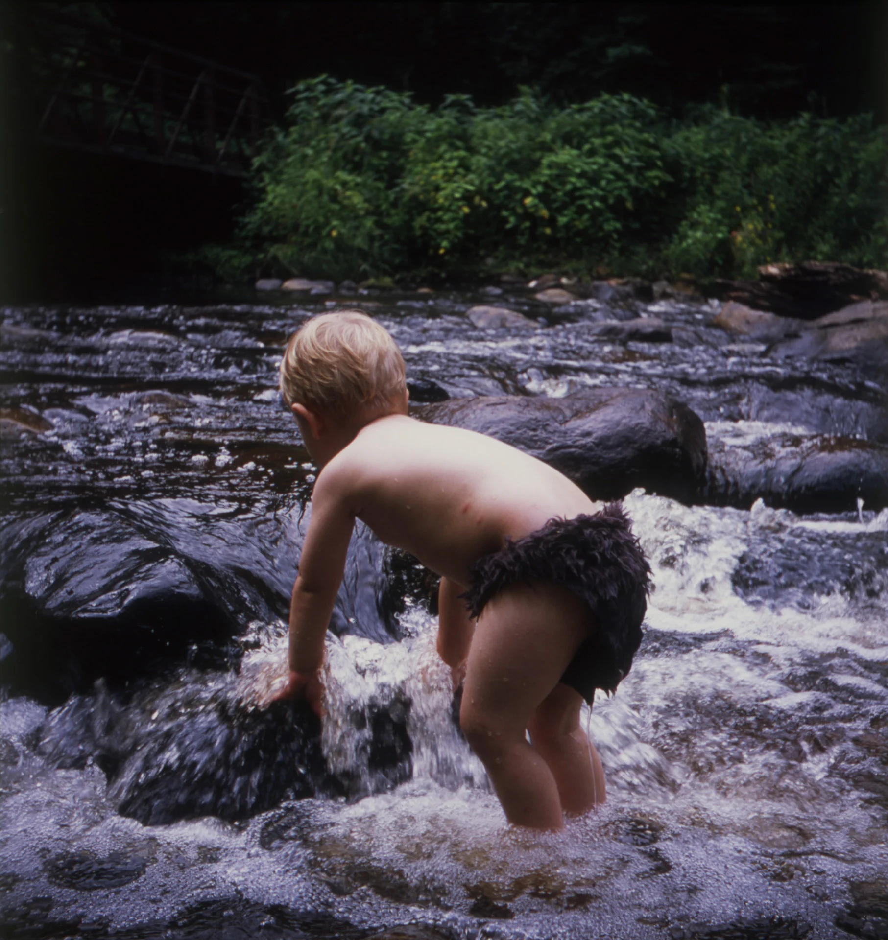 Creek1.jpg