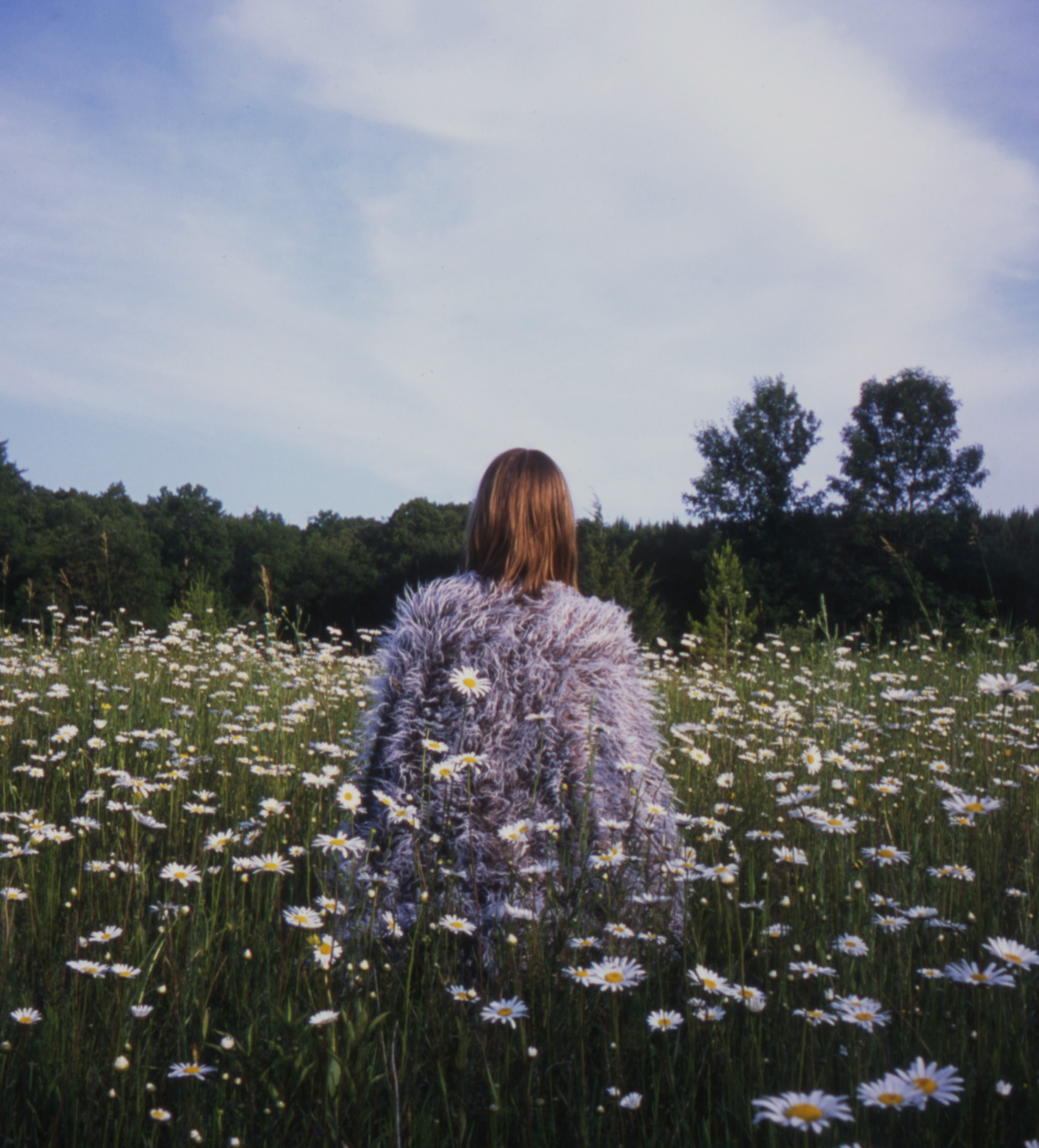Daisies copy.jpg