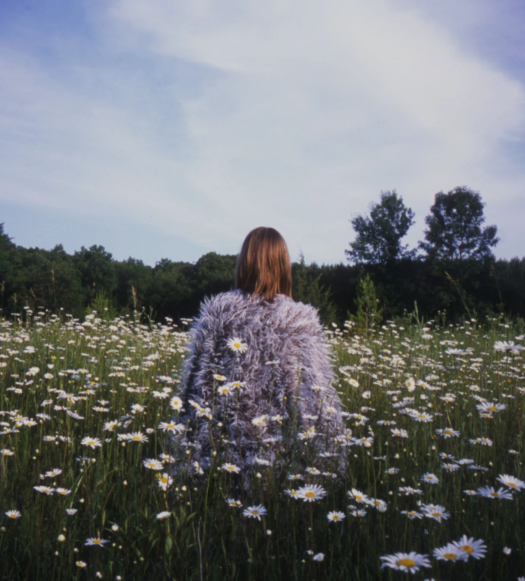 Daisies copy.jpg