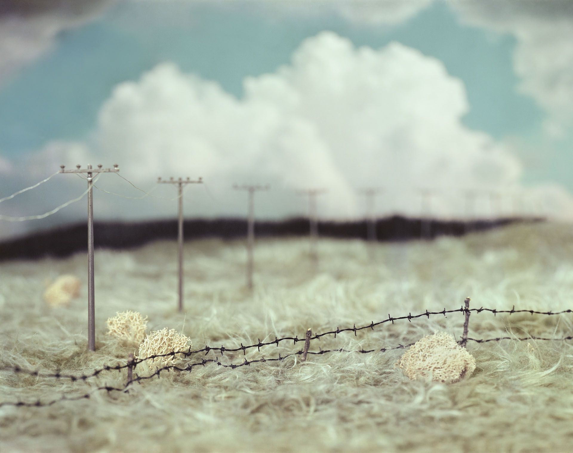 Telephone Line
